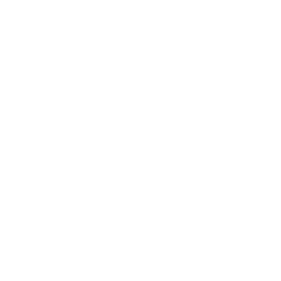 Intelevo Research