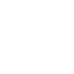 Intelevo Research