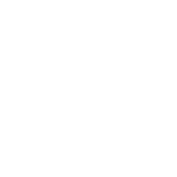 Intelevo Research
