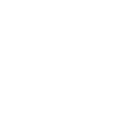 Intelevo Research