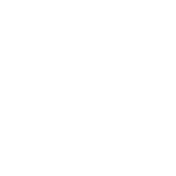 Intelevo Research