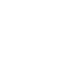 Intelevo Research
