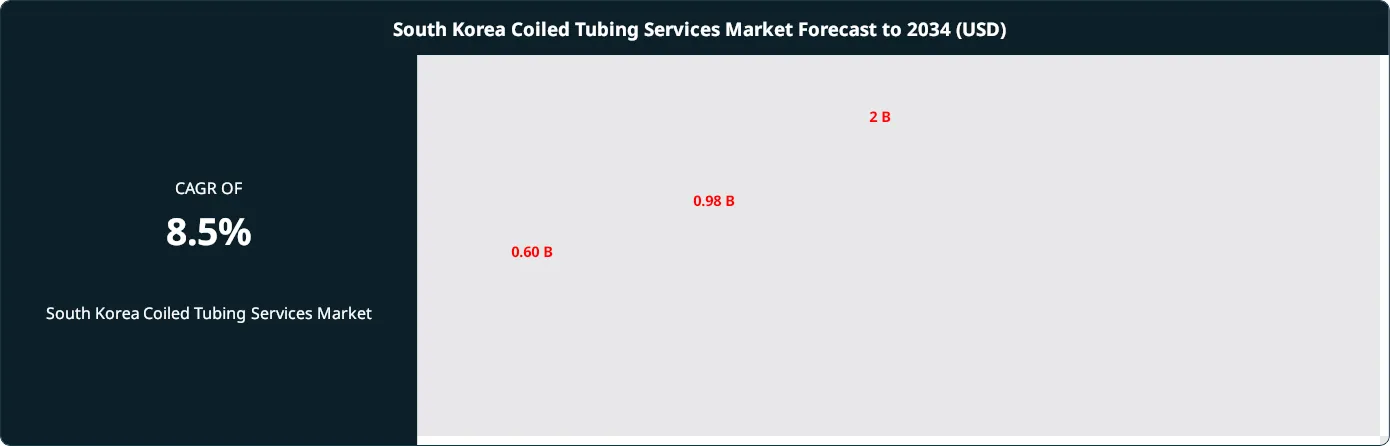 South Korea Coiled Tubing Services Market Size